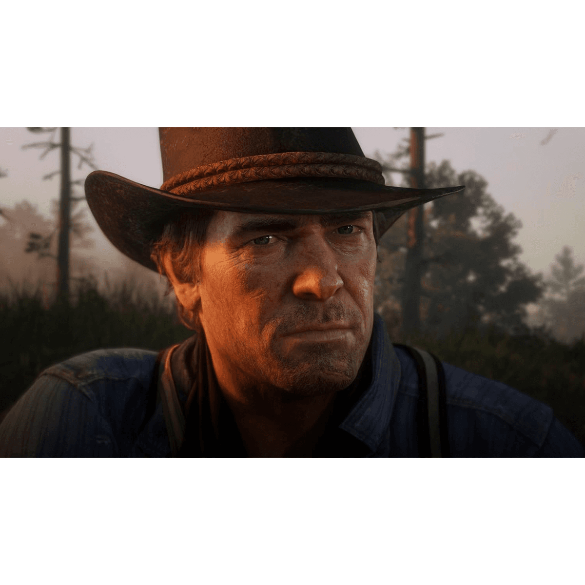 Red Dead Redemption Imagen Publicitaria